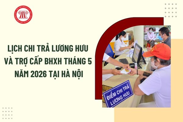 Pháp luật