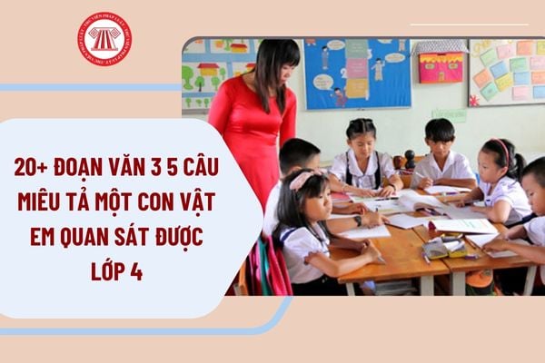 20+ đoạn văn 3 5 câu miêu tả một con vật em quan sát được lớp 4 hay, chọn lọc? Tổng hợp đoạn văn 3 5 câu miêu tả một con vật em quan sát được lớp 4?