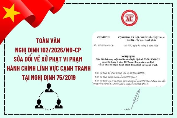 Pháp luật