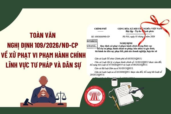 Pháp luật