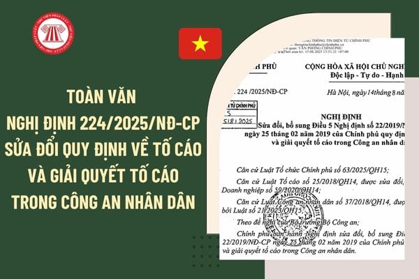 Pháp luật