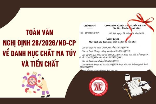 Pháp luật