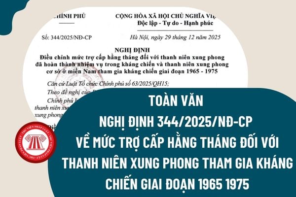 Pháp luật