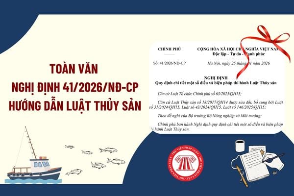 Pháp luật