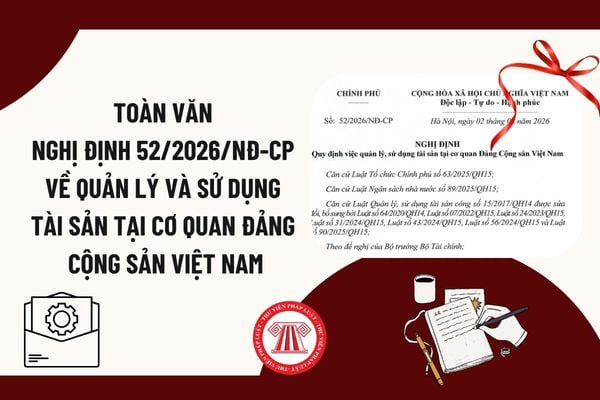 Pháp luật