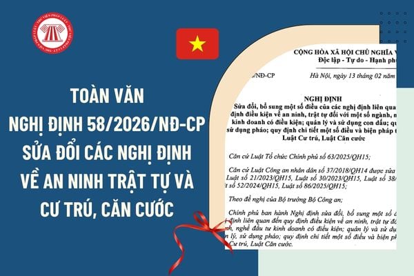 Pháp luật
