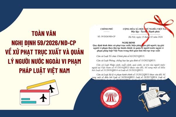 Pháp luật
