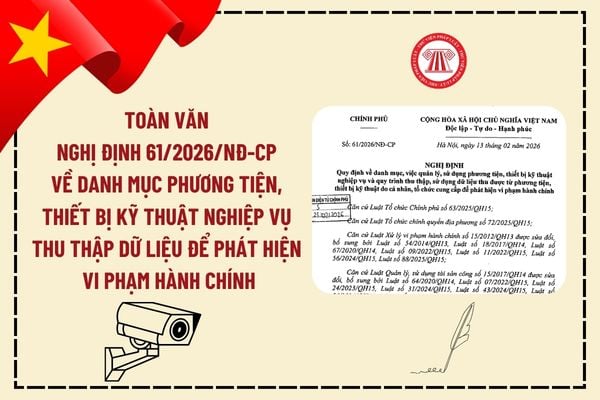 Pháp luật