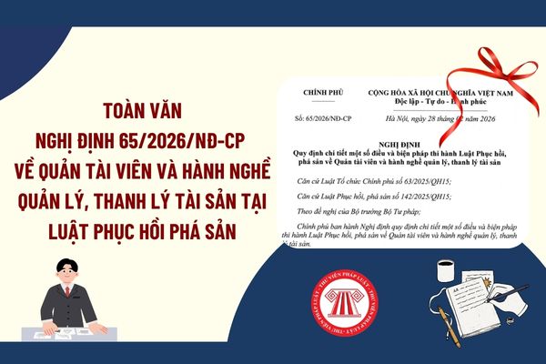 Pháp luật