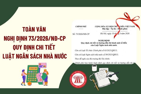 Pháp luật