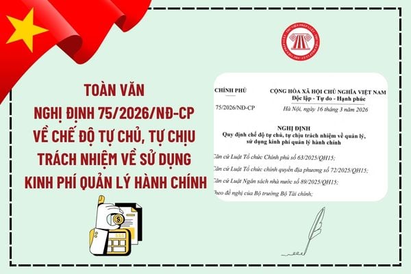 Pháp luật