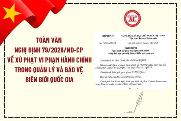 Pháp luật