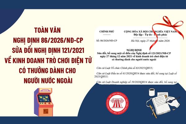 Pháp luật