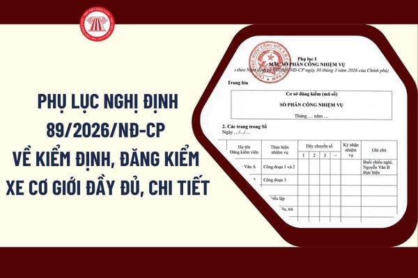 Pháp luật