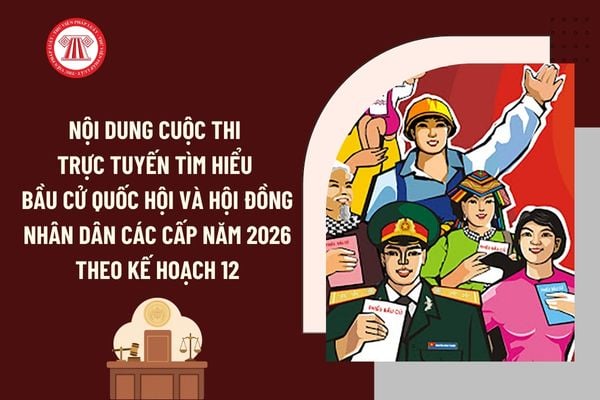 Pháp luật