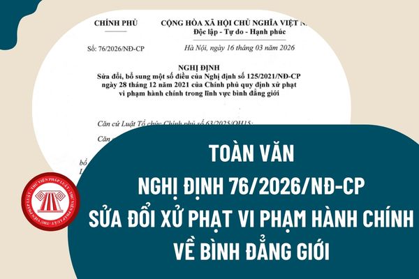 Pháp luật