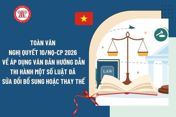 Pháp luật