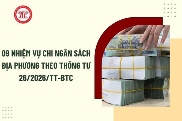 Pháp luật