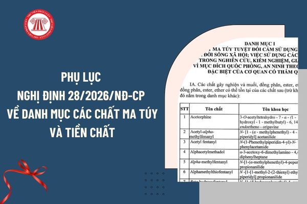 Pháp luật