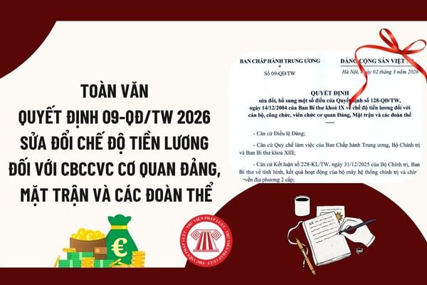 Pháp luật