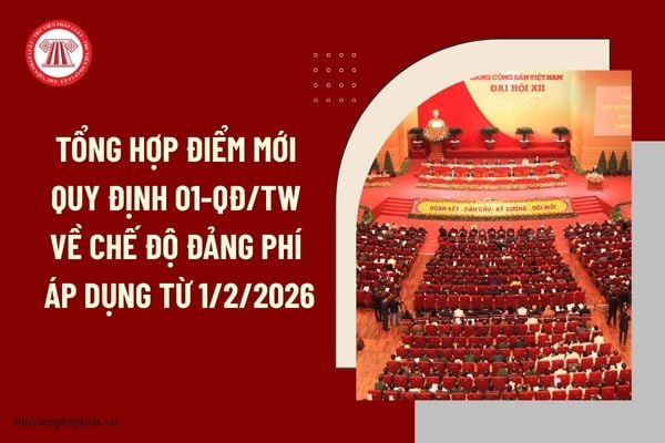 Pháp luật