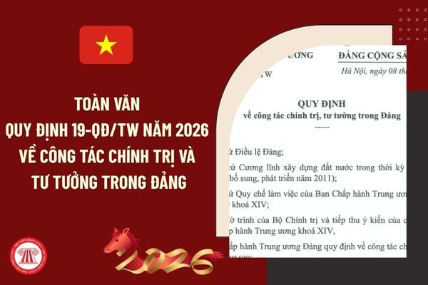 Pháp luật