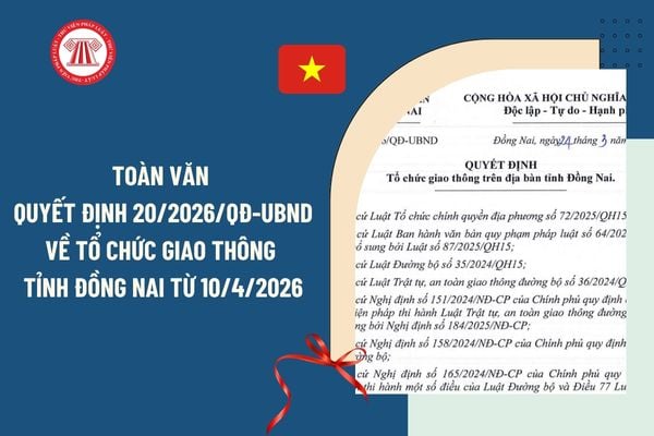 Pháp luật