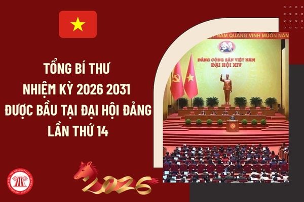 Pháp luật