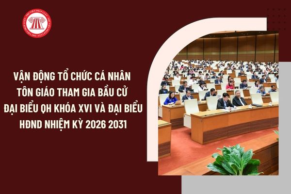 Pháp luật