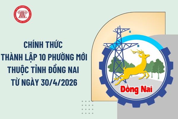 Pháp luật