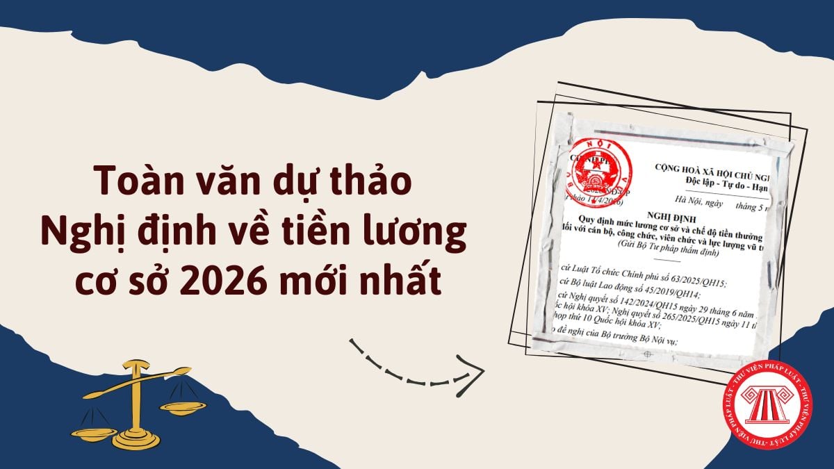 Pháp luật
