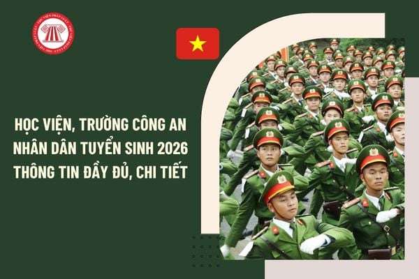 Pháp luật