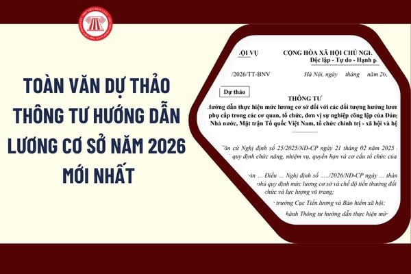 Pháp luật