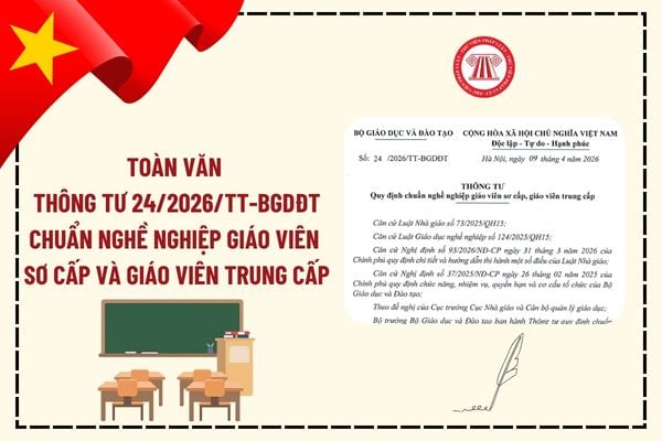 Pháp luật