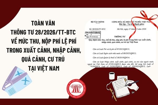 Pháp luật