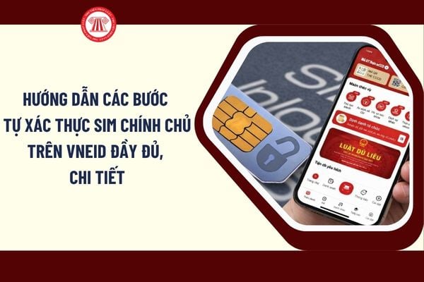 Pháp luật