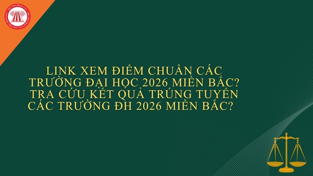 Pháp luật