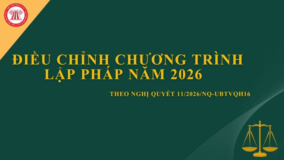 Pháp luật