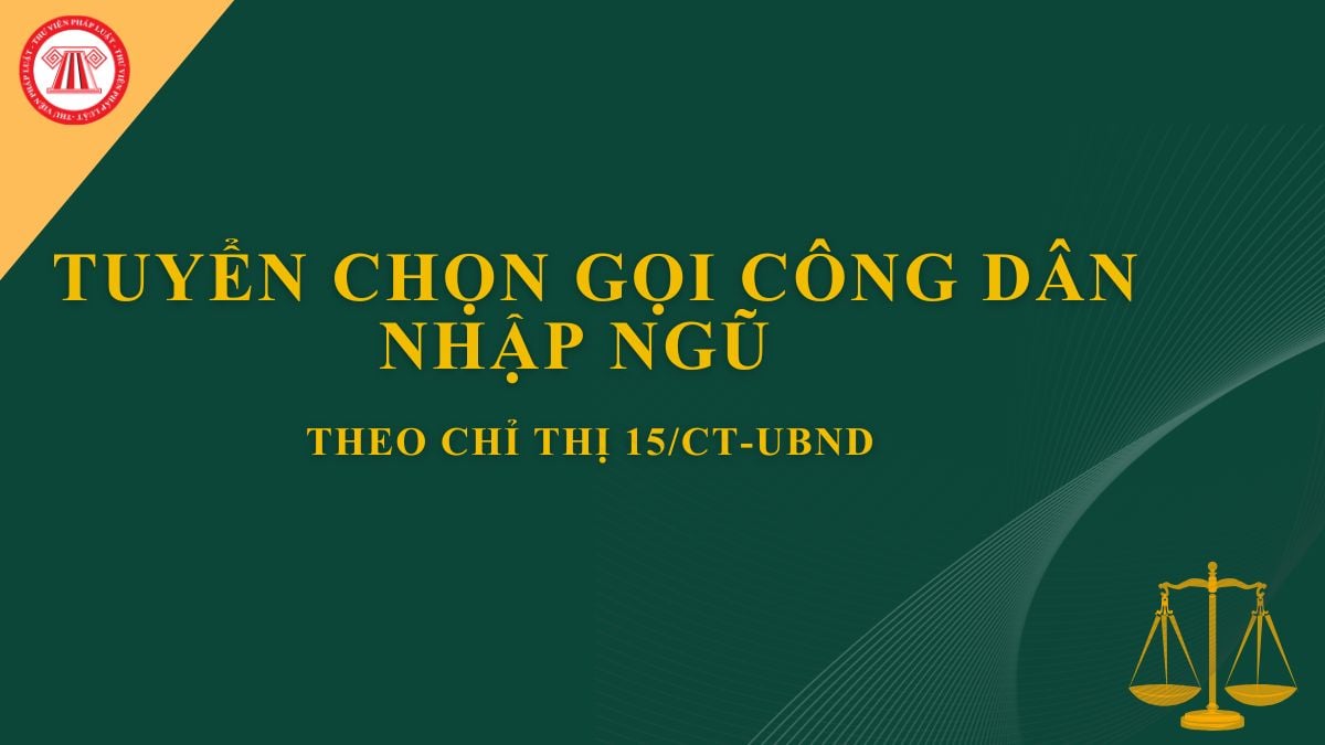 Pháp luật
