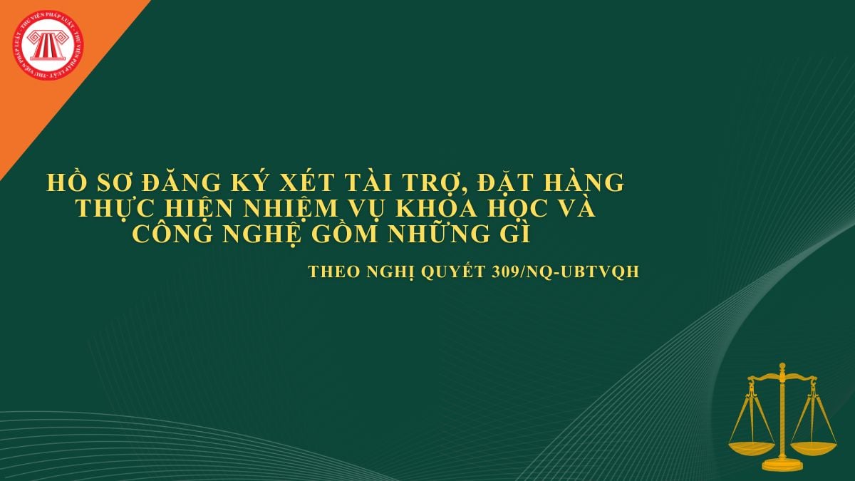 Pháp luật