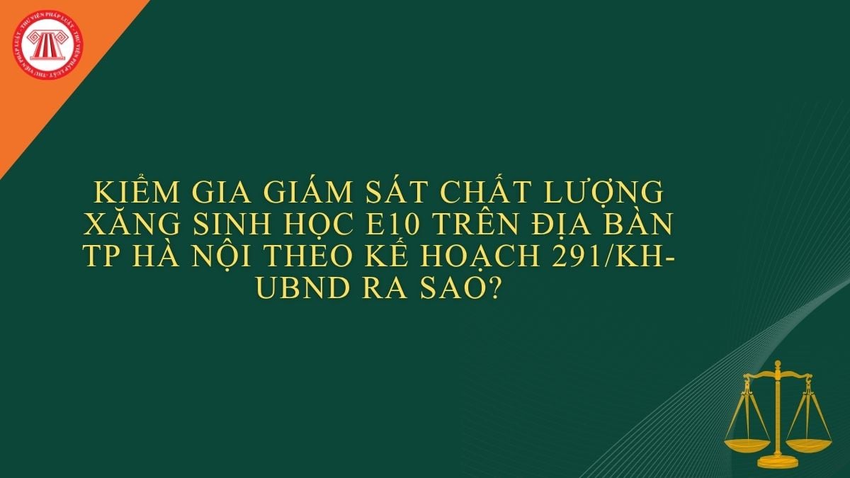 Pháp luật