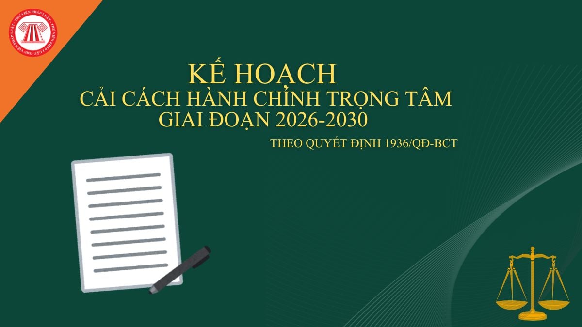 Pháp luật