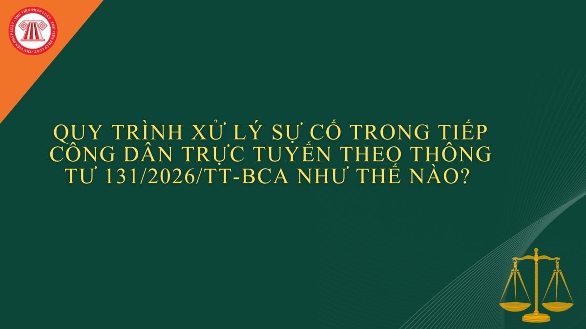 Pháp luật