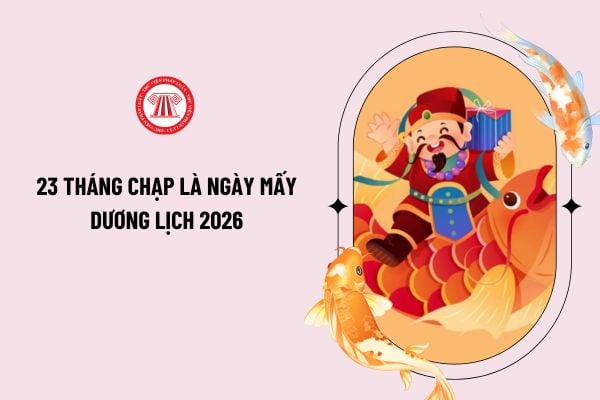 Pháp luật