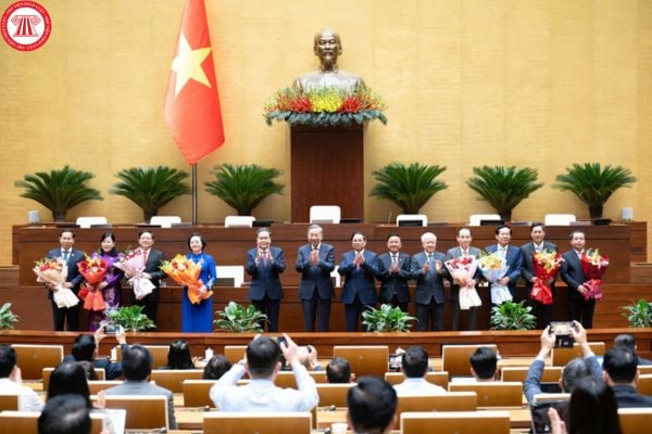 Pháp luật
