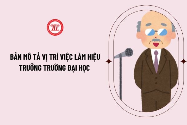 Bản mô tả vị trí việc làm hiệu trưởng trường đại học mới nhất năm 2024 theo Thông tư 04/2024/TT-BGDĐT như thế nào?