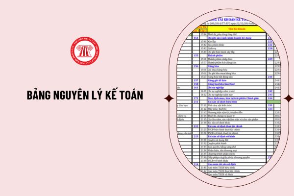 Bảng nguyên lý kế toán năm 2024 đầy đủ? Tải về bảng nguyên lý kế toán theo Thông tư 200 PDF, Excel?