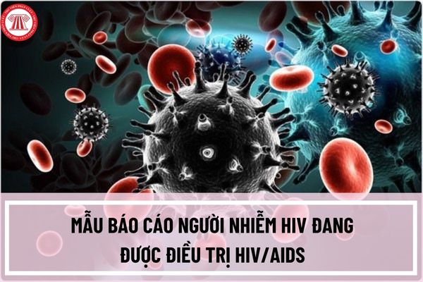 Mẫu báo cáo người nhiễm HIV đang được điều trị HIV/AIDS có dạng như thế nào? Mẫu báo cáo người nhiễm HIV tử vong ra sao?