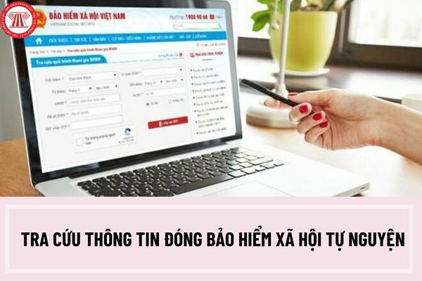 Hướng dẫn tra cứu thông tin đóng bảo hiểm xã hội tự nguyện trên Cổng thông tin điện tử Bảo hiểm xã hội Việt Nam?