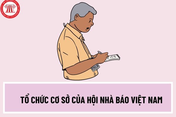 Tổ chức cơ sở của Hội nhà báo Việt Nam bao gồm những đơn vị nào? Đơn vị nào được thành lập Chi hội nhà báo? 